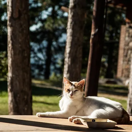 La Taverna Dei Briganti Cotronei