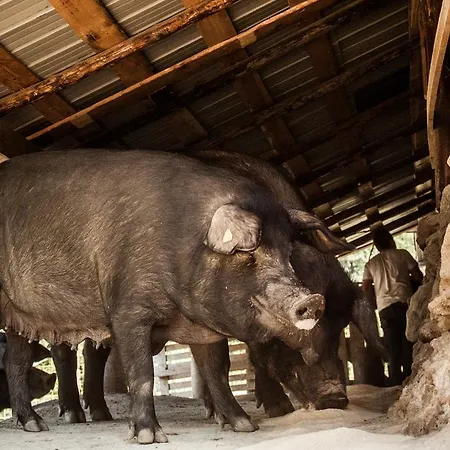 La Taverna Dei Briganti Alloggio per agriturismo Cotronei