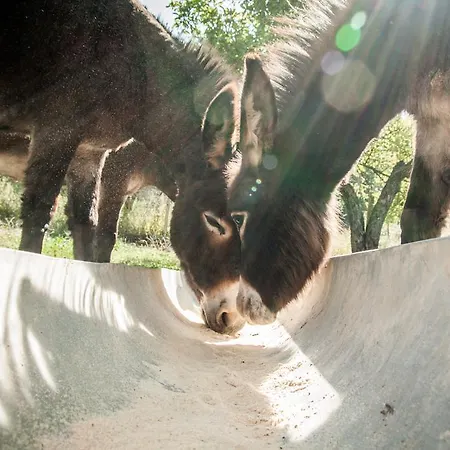 La Taverna Dei Briganti *