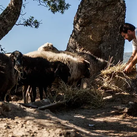Bauernhof La Taverna Dei Briganti