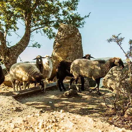 La Taverna Dei Briganti *