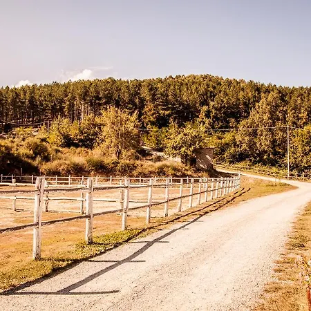 La Taverna Dei Briganti
