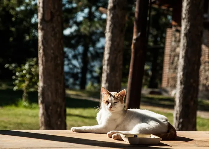 La Taverna Dei Briganti Cotronei