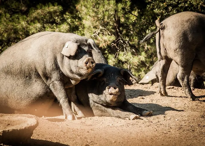 La Taverna Dei Briganti Alojamento de Turismo Rural
