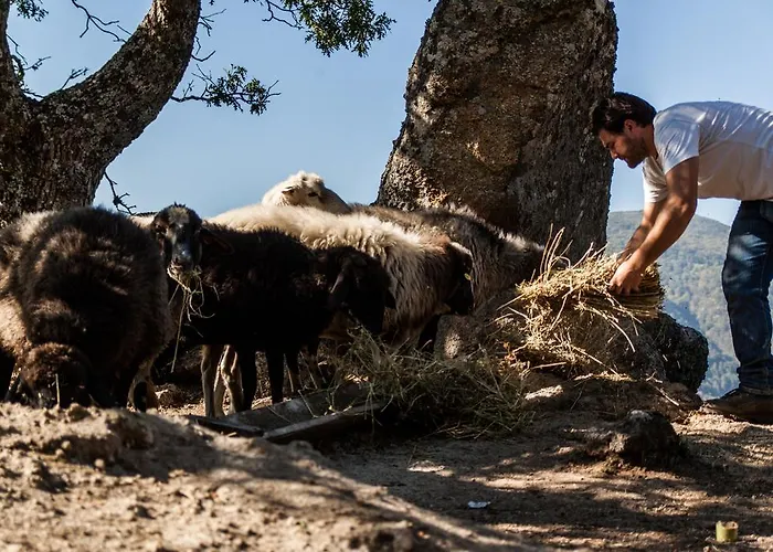 Alojamento de Turismo Rural La Taverna Dei Briganti