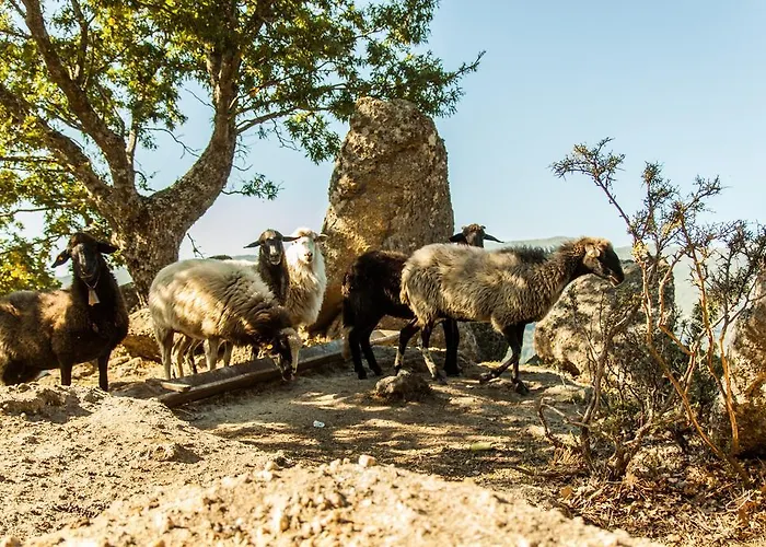 La Taverna Dei Briganti *