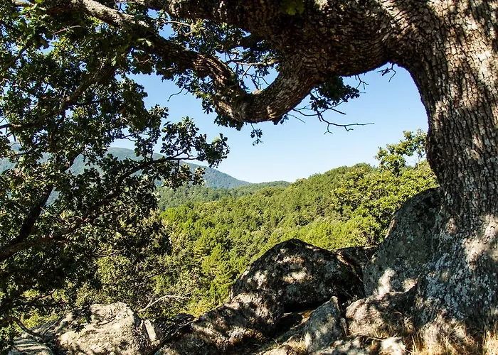 Alojamento de Turismo Rural La Taverna Dei Briganti Cotronei